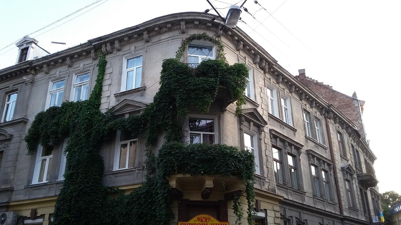 Max Apartments In Lviv Kültér fotó
